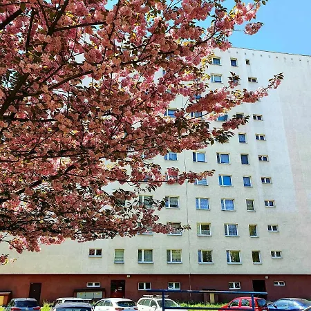 Happy * Gliwice