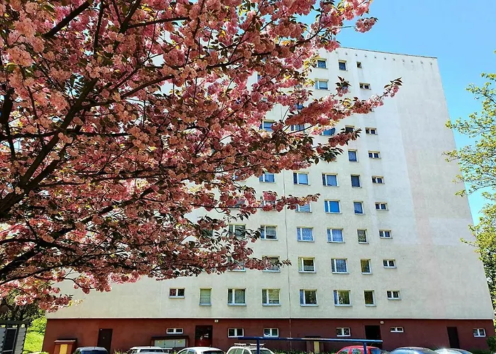 Happy * גליביצ'ה